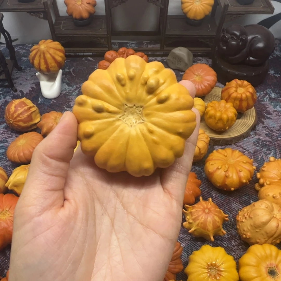 墨西哥葫芦小花花