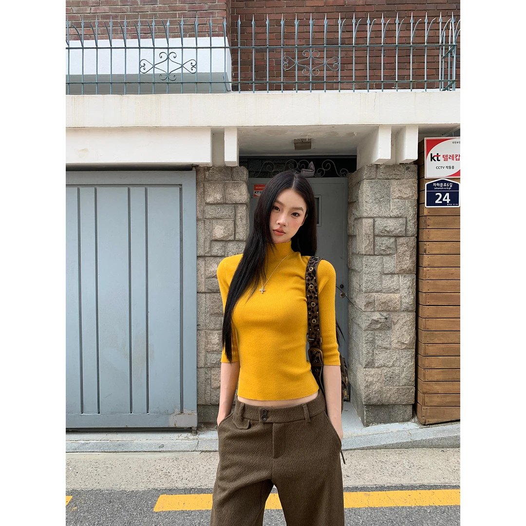 【极简心动】秋季法式辣妹基础款立领显瘦修身针织衫2025-083