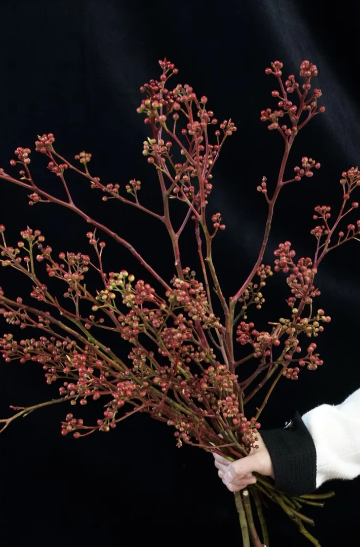 鲜花【灯台】家庭插花同地址两单京东或德邦送货上门+送1扎配草