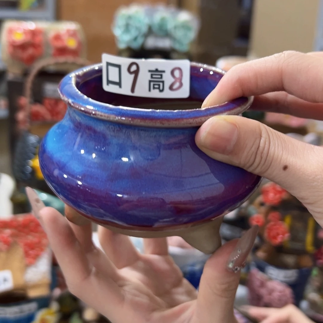 变色拍满18.8米包邮发货