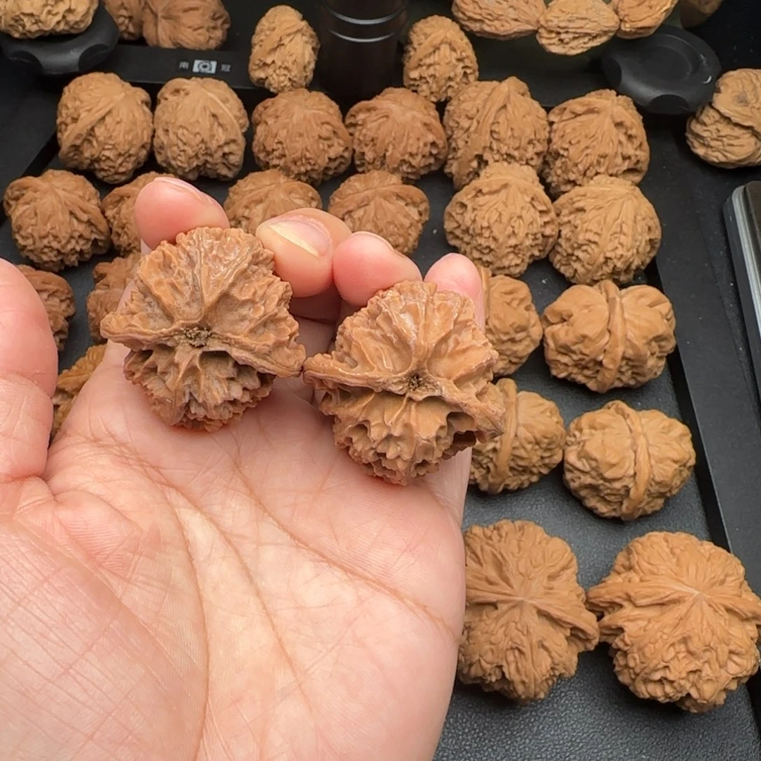 36尺对龟苹果园文玩核桃