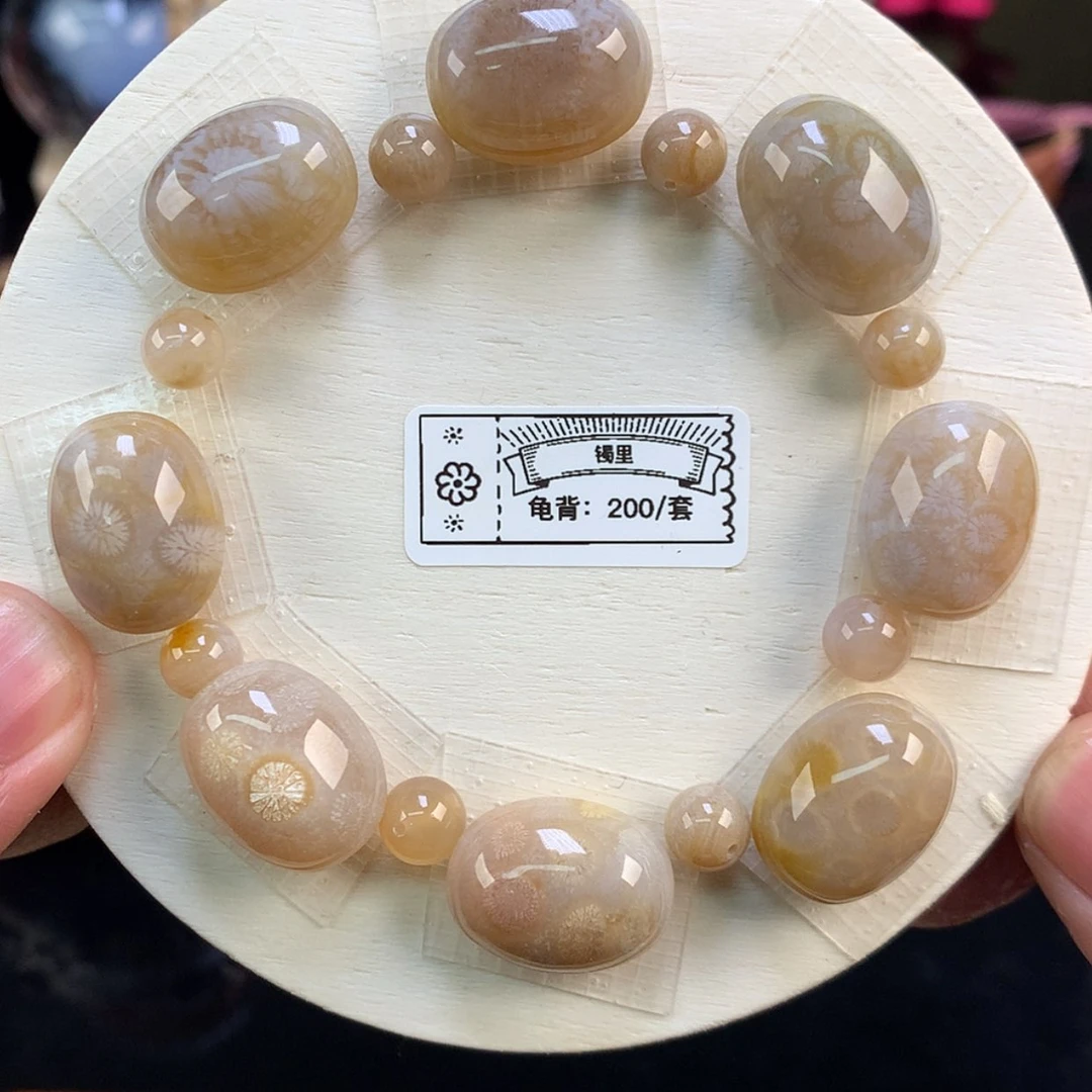 【闪购商品】颈饰未镶嵌硅化珊瑚（珊瑚玉）106号福利富甲天下