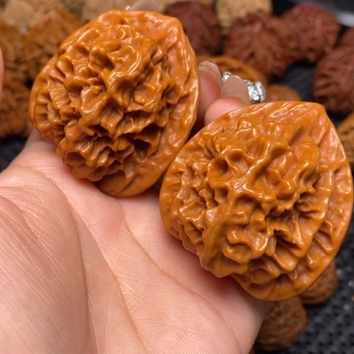 秦岭野生00000000014