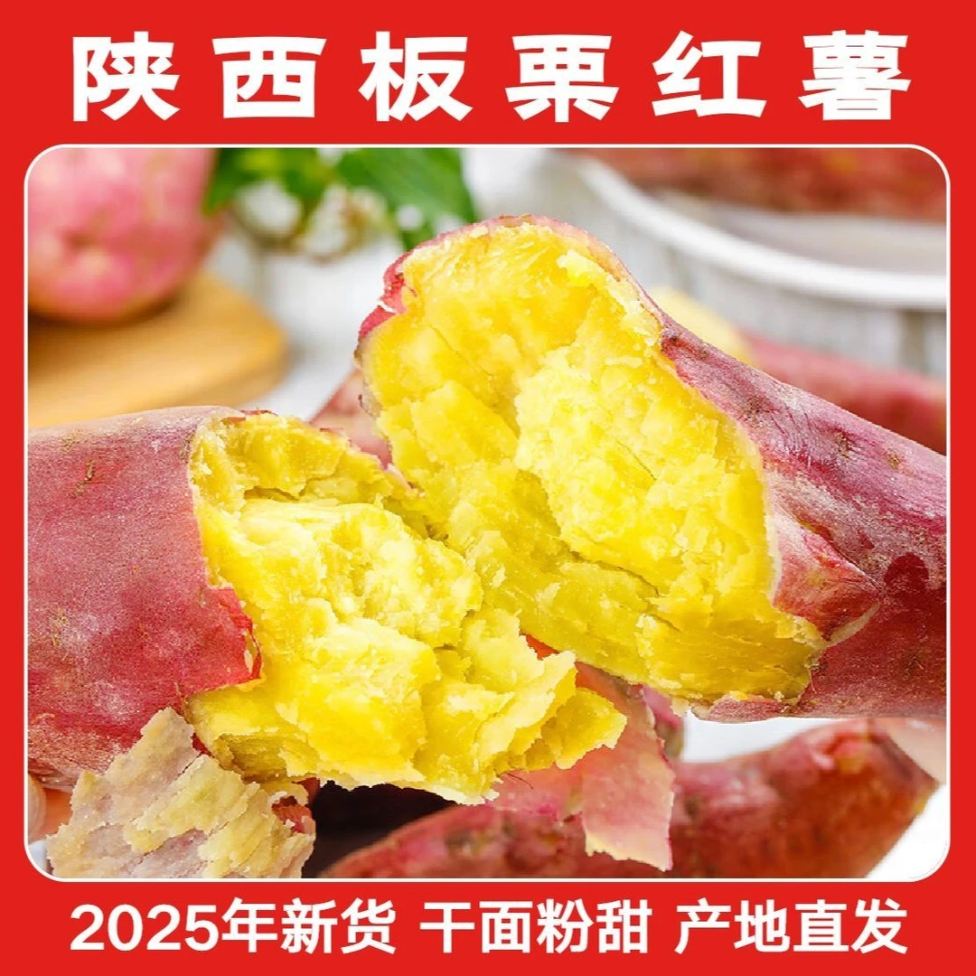 正宗陕西临潼新鲜板栗红薯粉面番薯粗粮小香薯烤地瓜甜
