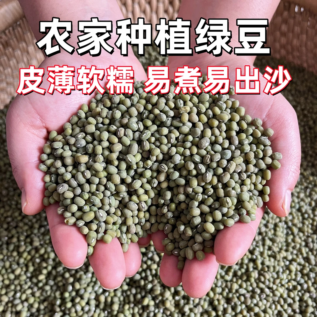 【25年新绿豆】沂蒙山农家精选粗粮毛绿豆健康营养身材管理专用糙米