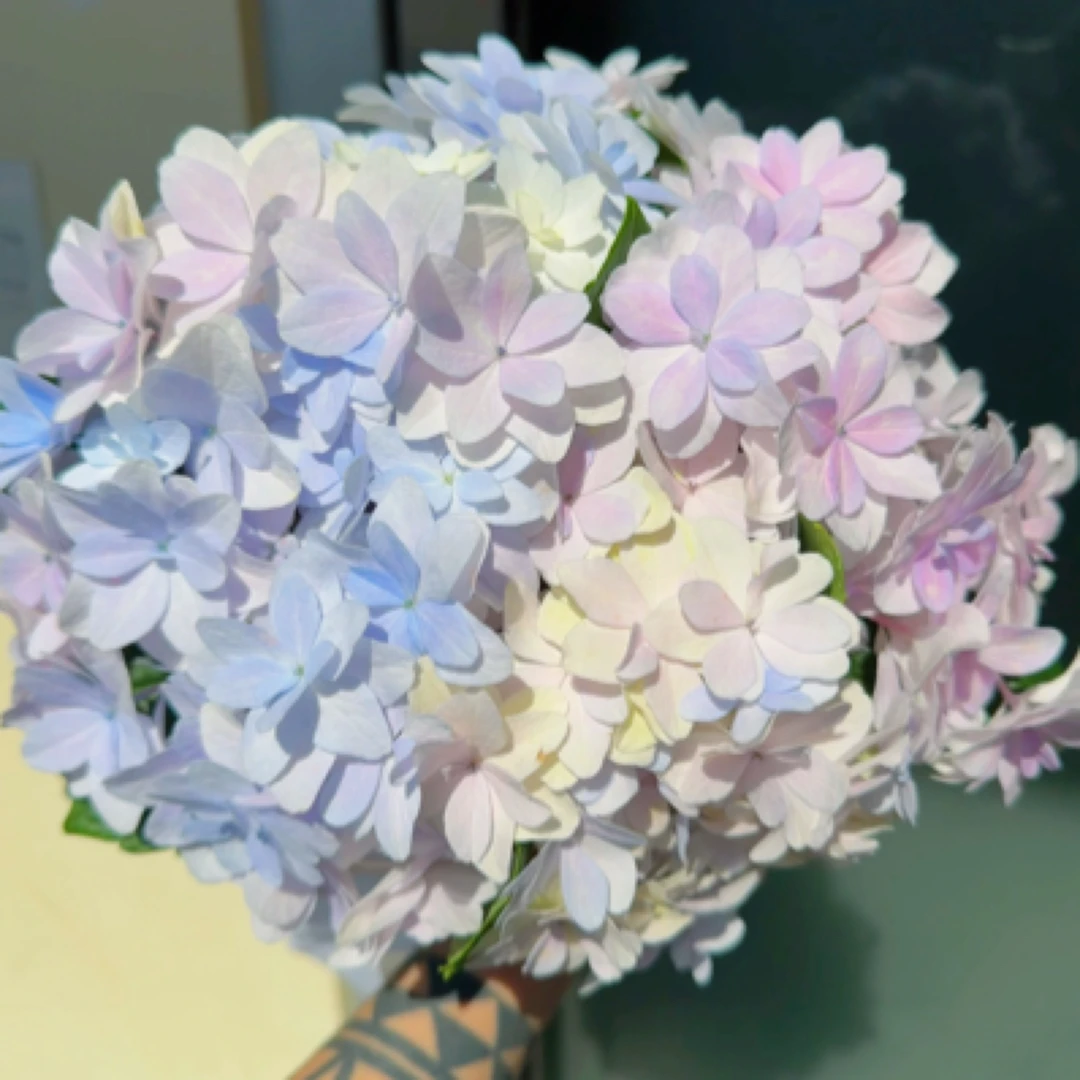 绣球专用链接121号-150号