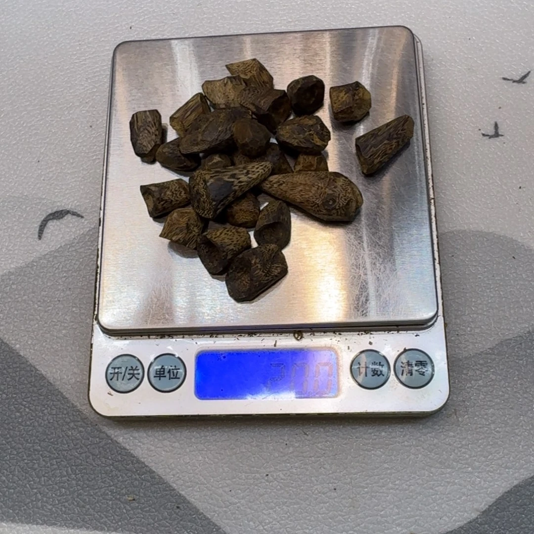 威***哥木奇楠树钉原材料20克