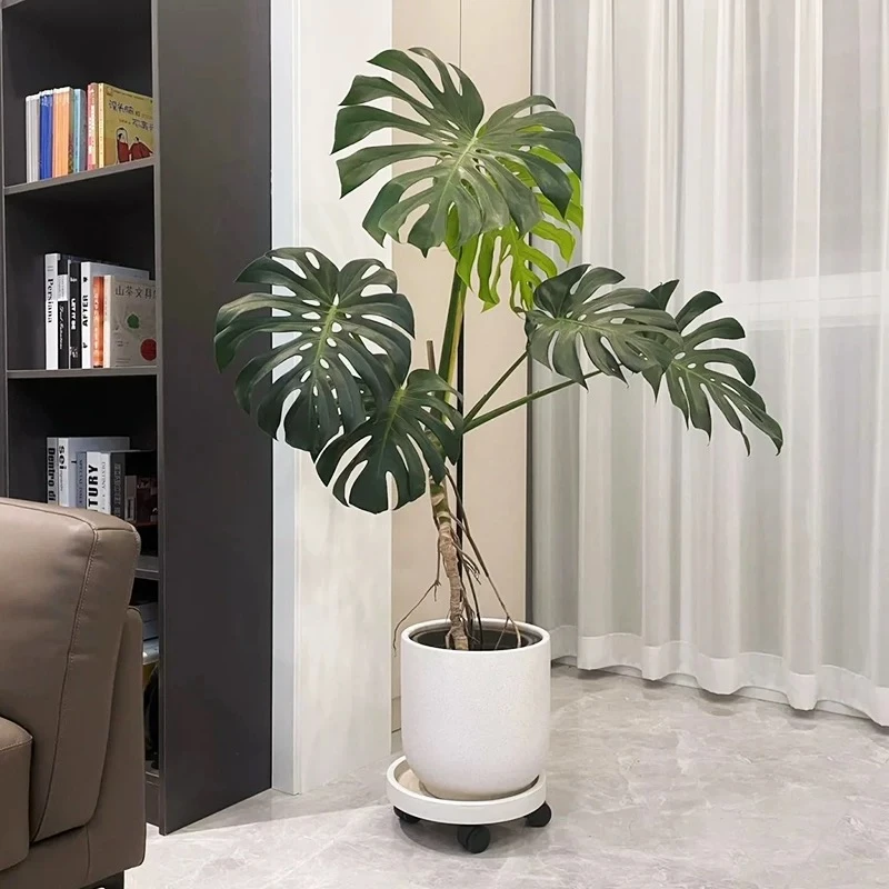 龟背竹老桩植物北欧风家居绿植室内客厅净化空气除甲醛四季青好养