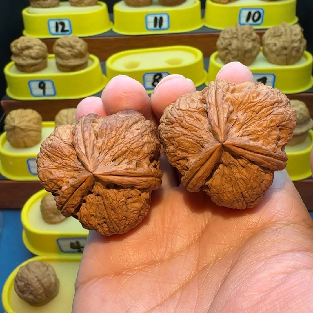 哈***哈桃核把件粗劲三棱