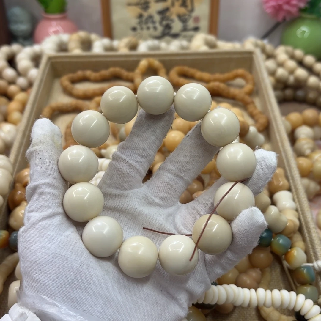 吊坠菩提根/象牙果20干磨微瑕牙果圆珠737
