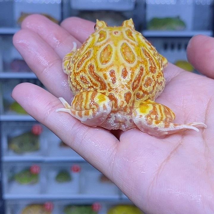 特价秒杀现货特价