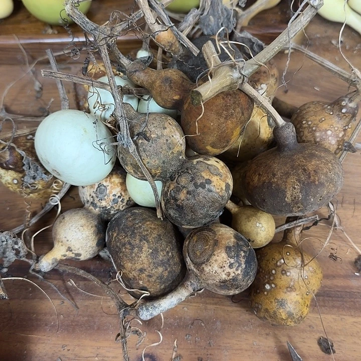 叫****khxiyxiyxyciyciycycuvibo