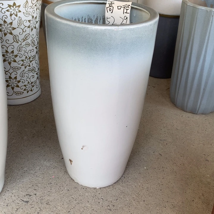 花盆里的小猫咪们都是可爱的