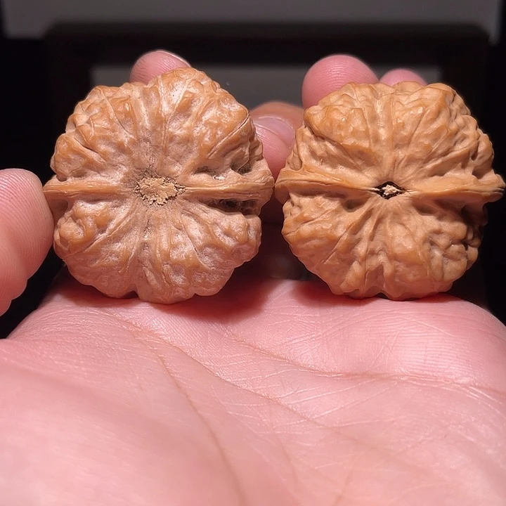 核桃手串/手链 0503