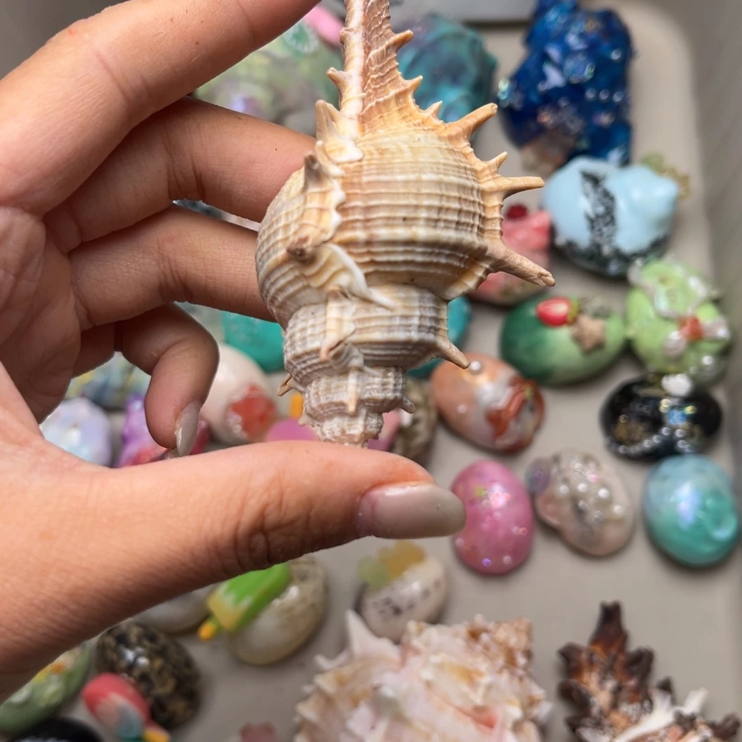 刺壳（可接受官瑕.壳内蟹不售后