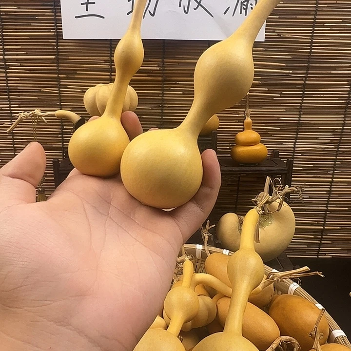 我***懂葫芦葫芦葫芦葫芦葫芦