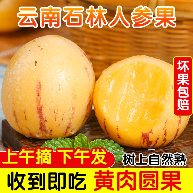 【新鲜采摘】云南石林黄肉果树上熟新鲜水果清甜多汁整箱包邮