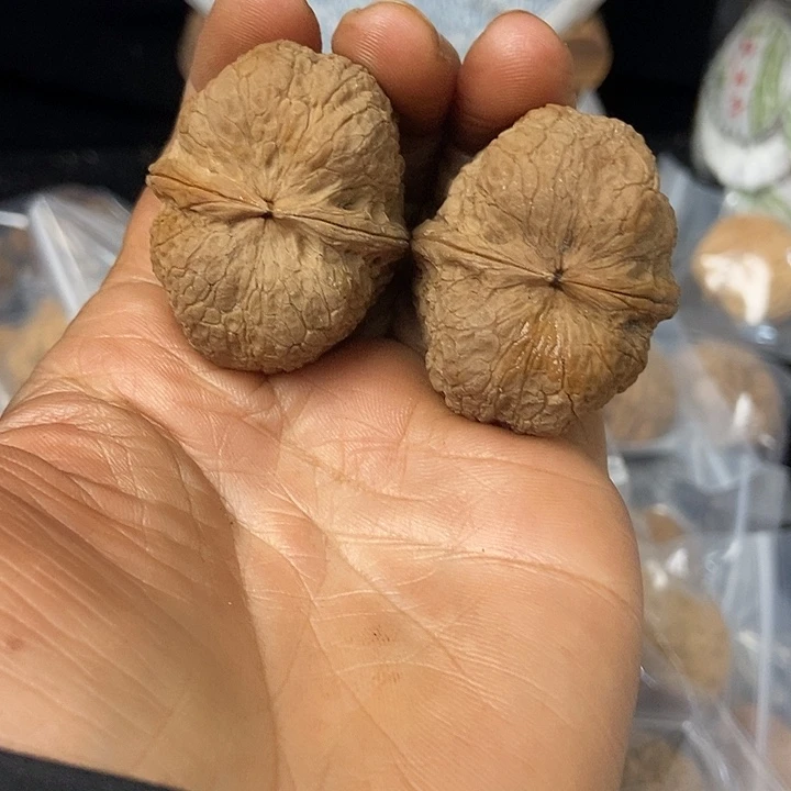 把件文玩核桃云南铁核桃基地27