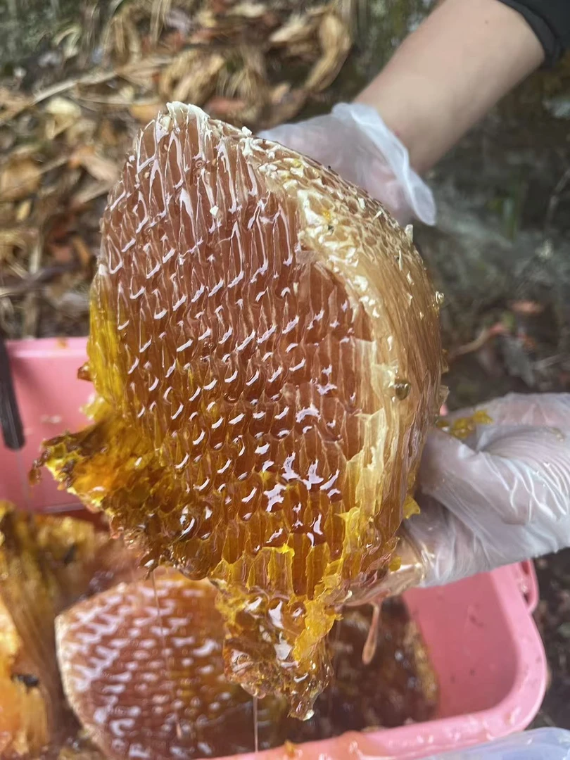 【红蜜】云南悬崖蜂蜜红蜜原蜜巢蜜整桶发货2500g
