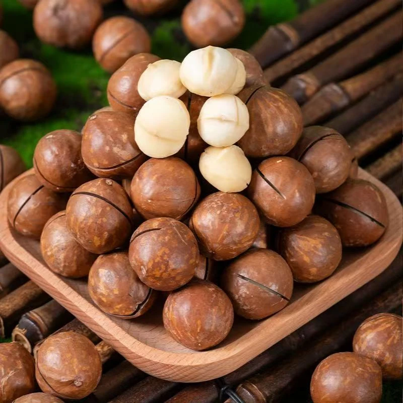 夏威夷果奶香可口送开口器零食坚果500g/罐