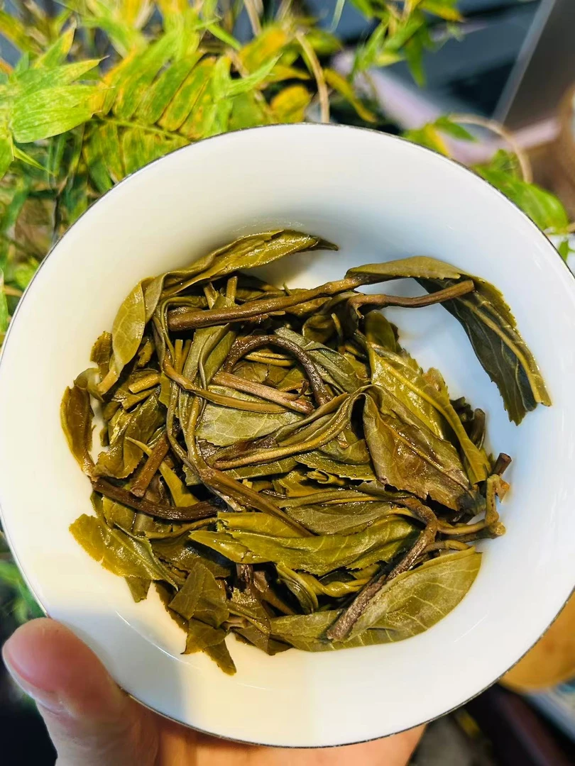 【新品首发】2024年头春【忙肺古树龙珠】普洱茶 7g/颗 ·带同款