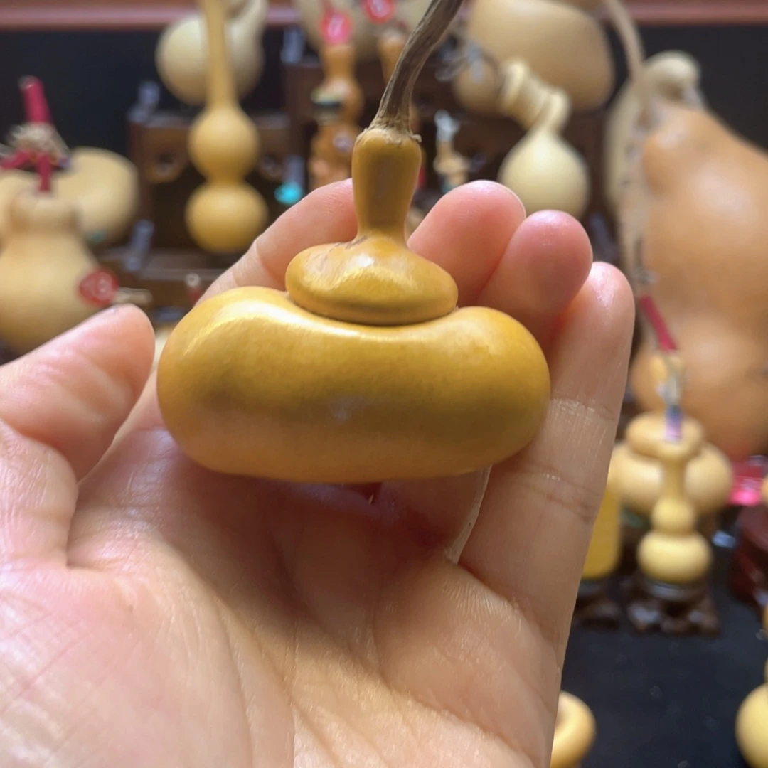 ?****?大自然的秘密第十一节的