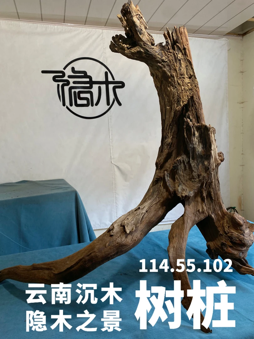 云南紫柚木沉木鱼缸路缸摆件装饰造景原木造景