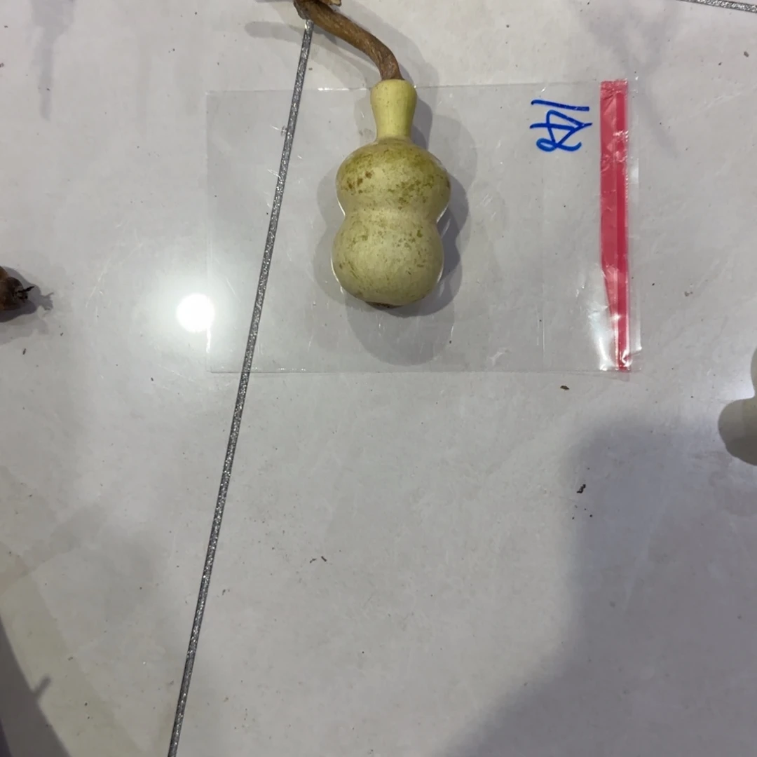 z***Z青皮不包成青皮不包成