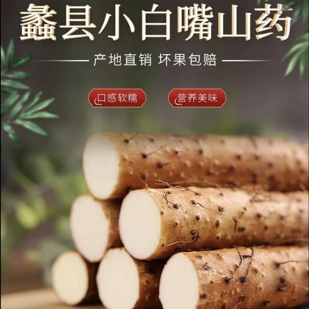 【福利促销】蠡县小白嘴原产地新鲜直发手工甄选软糯甘香面