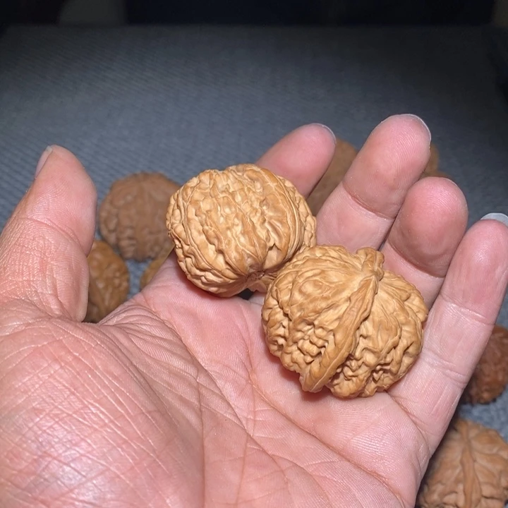 想***夜白狮子。