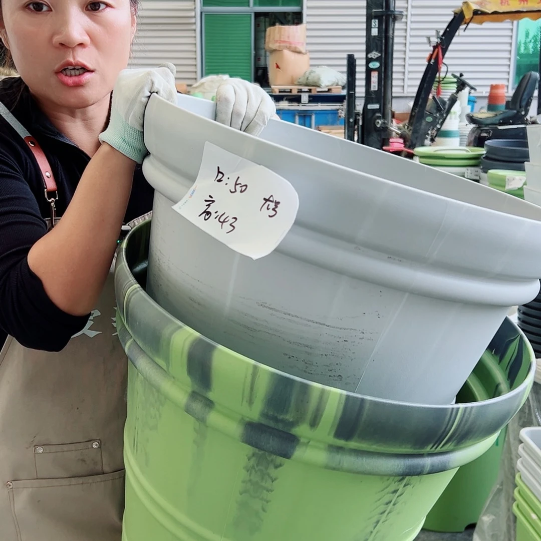 瑕疵仿陶罗马大号灰白1果绿色1无托