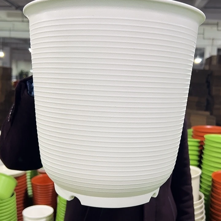 正品高陶口27高27白色4个无托