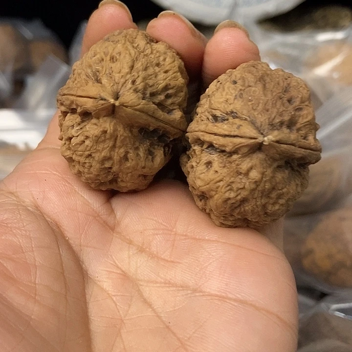 文玩核桃把件云南铁核桃基地49