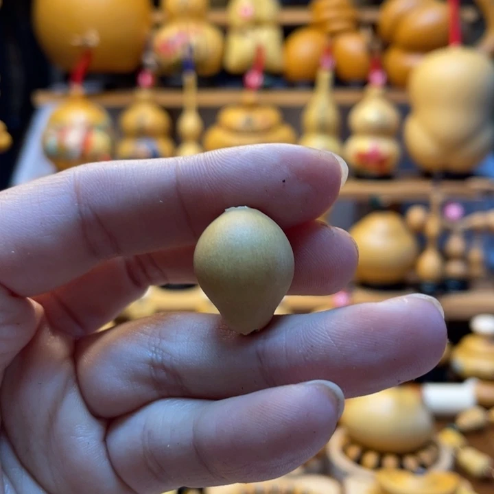 芊*天然葫芦自然生长芊芊