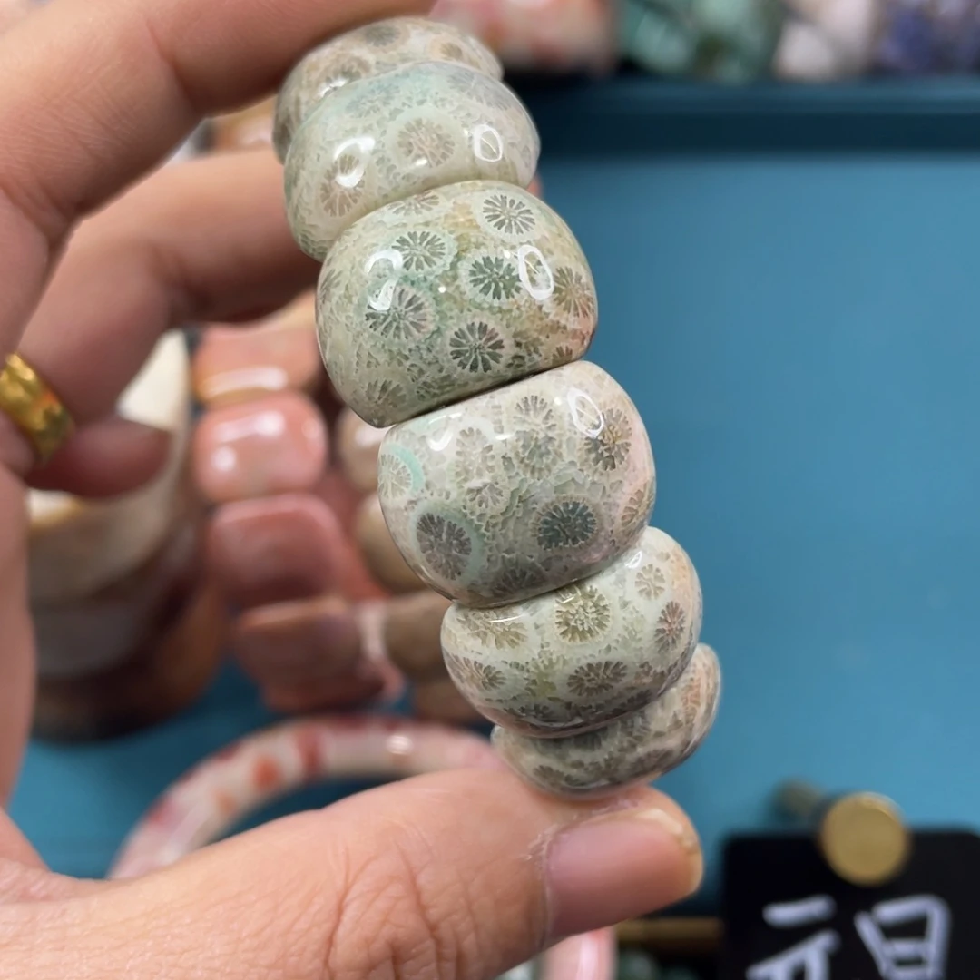 未镶嵌手镯硅化玉