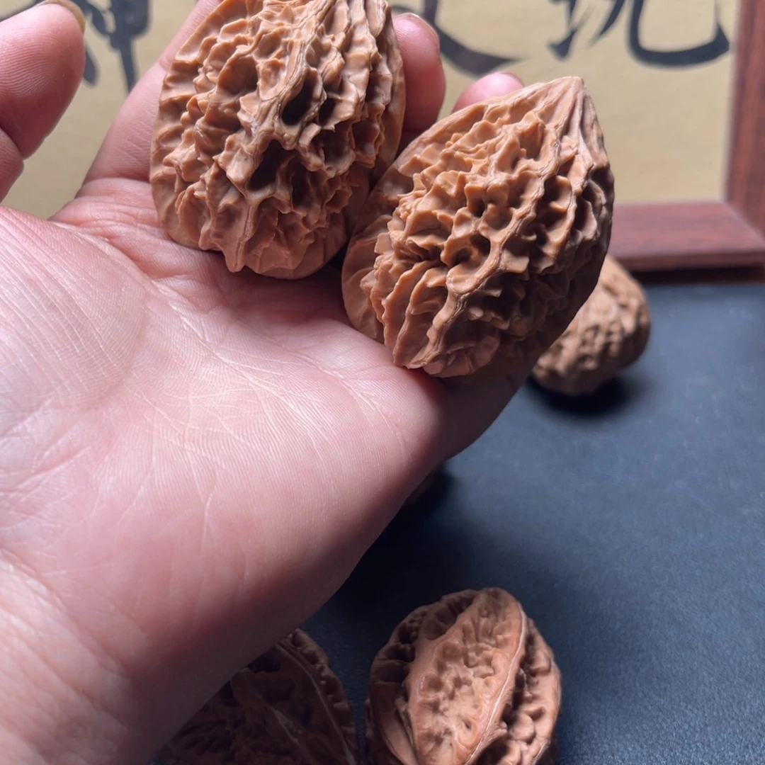 全品无修招财鼠41