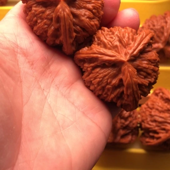 佳***寓核桃和他的核桃核桃核桃