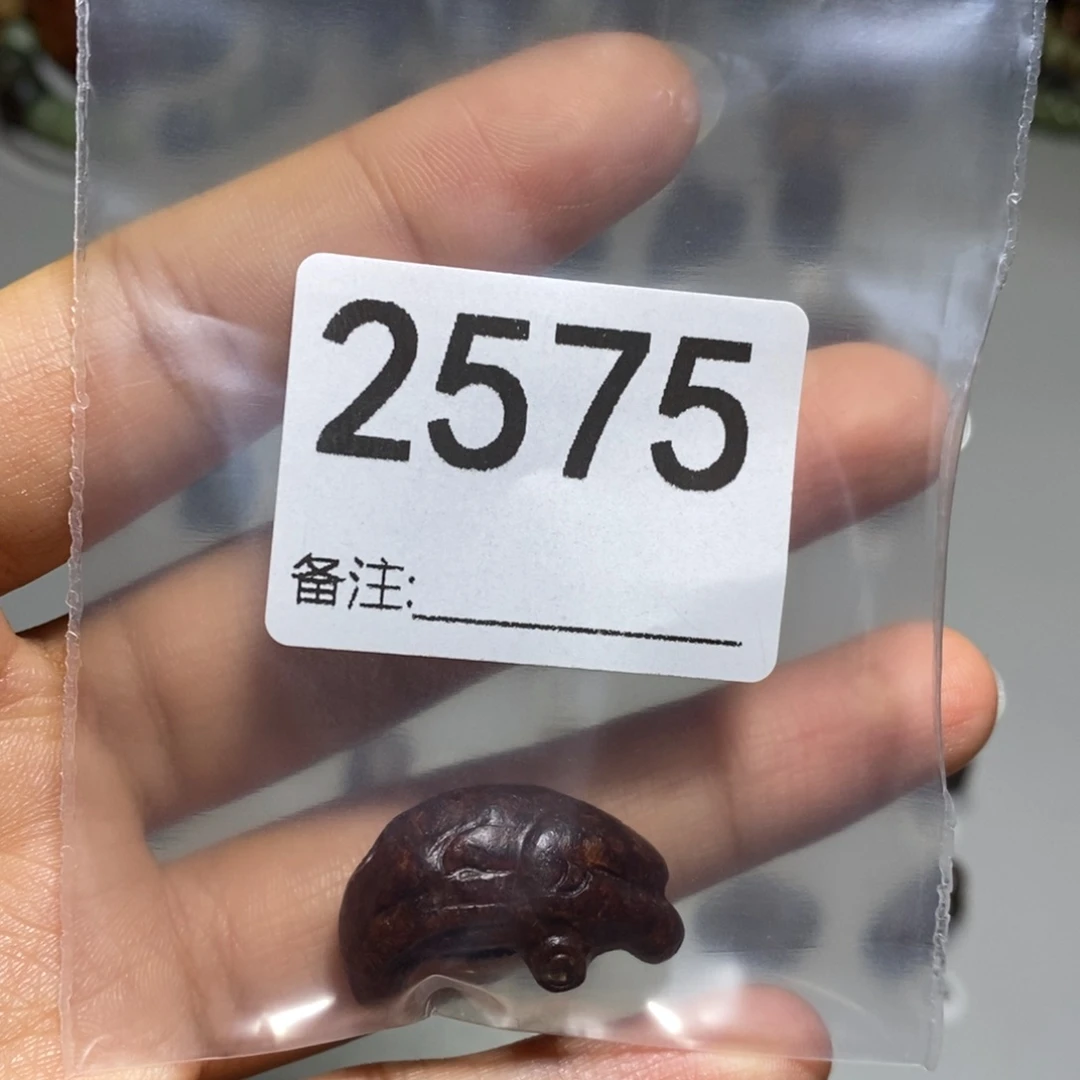 颈饰未镶嵌透闪石质玉⁽****⁾