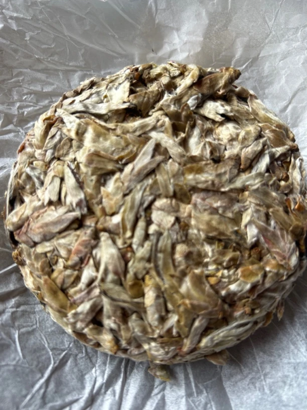 云南野生芽苞千年老妖古树芽孢普   （血芽苞饼）