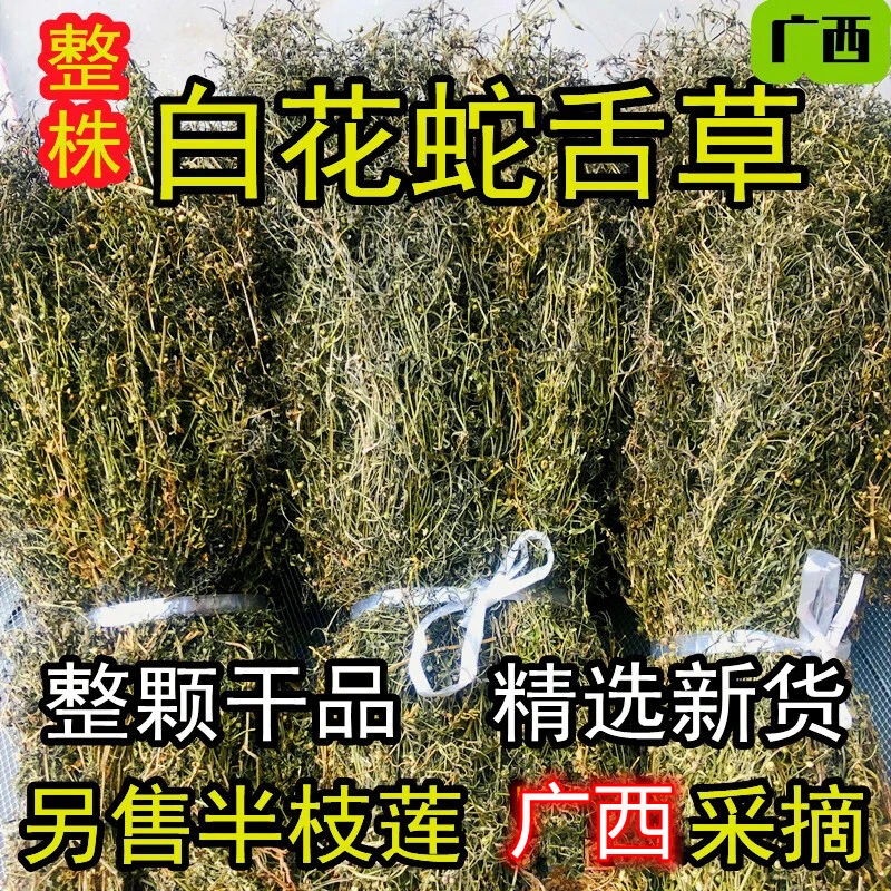 广西白花蛇舌草整株中药材白花蛇甘草白花蛇舌草另售卖半枝莲新货
