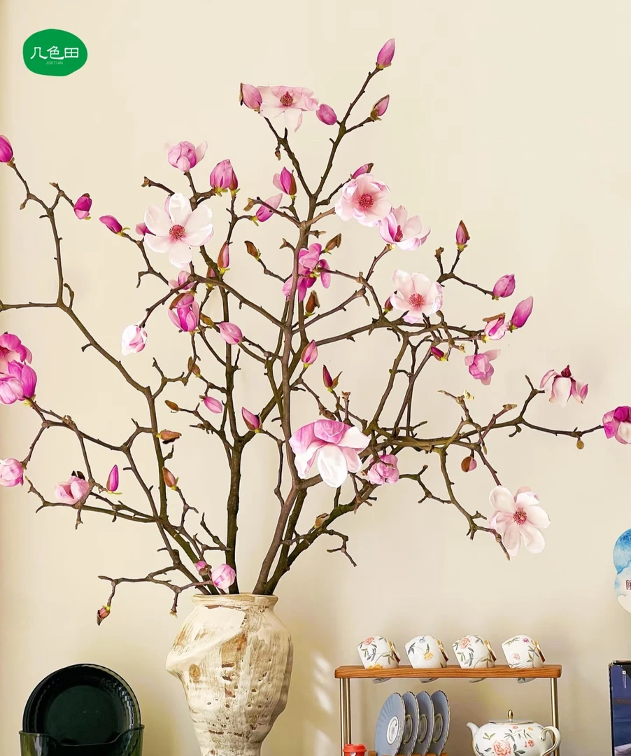 玉兰花（粉色）----鲜切枝云南直发鲜花云南花插花鲜花