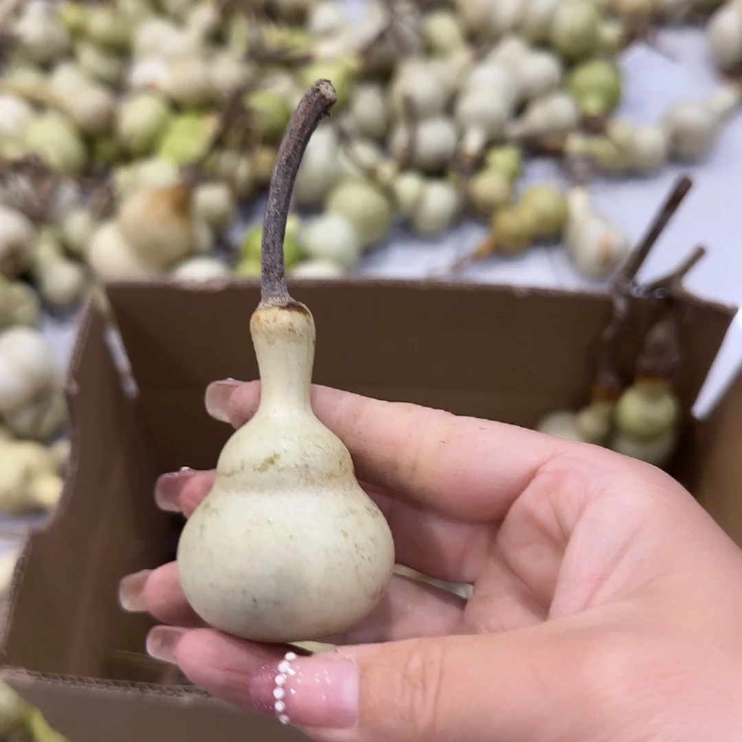 ****️葫芦钢构辉煌广告hhhh