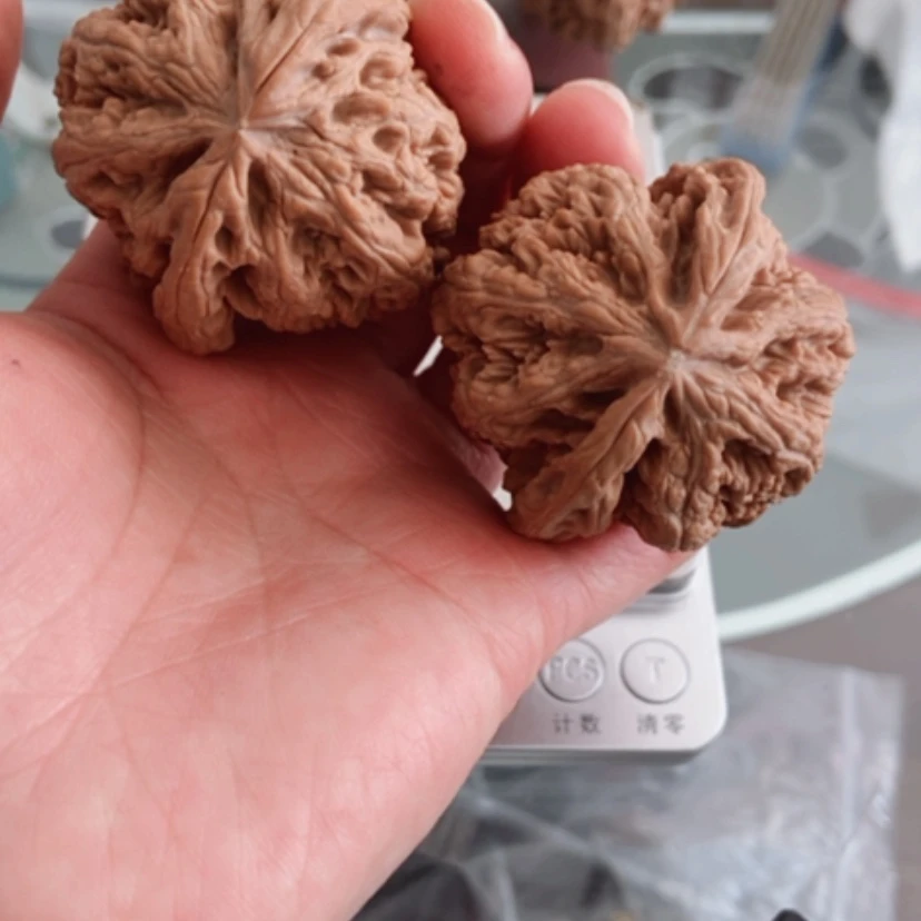 【闪购商品】叶**@47尺寸平谷大粗筋尺寸