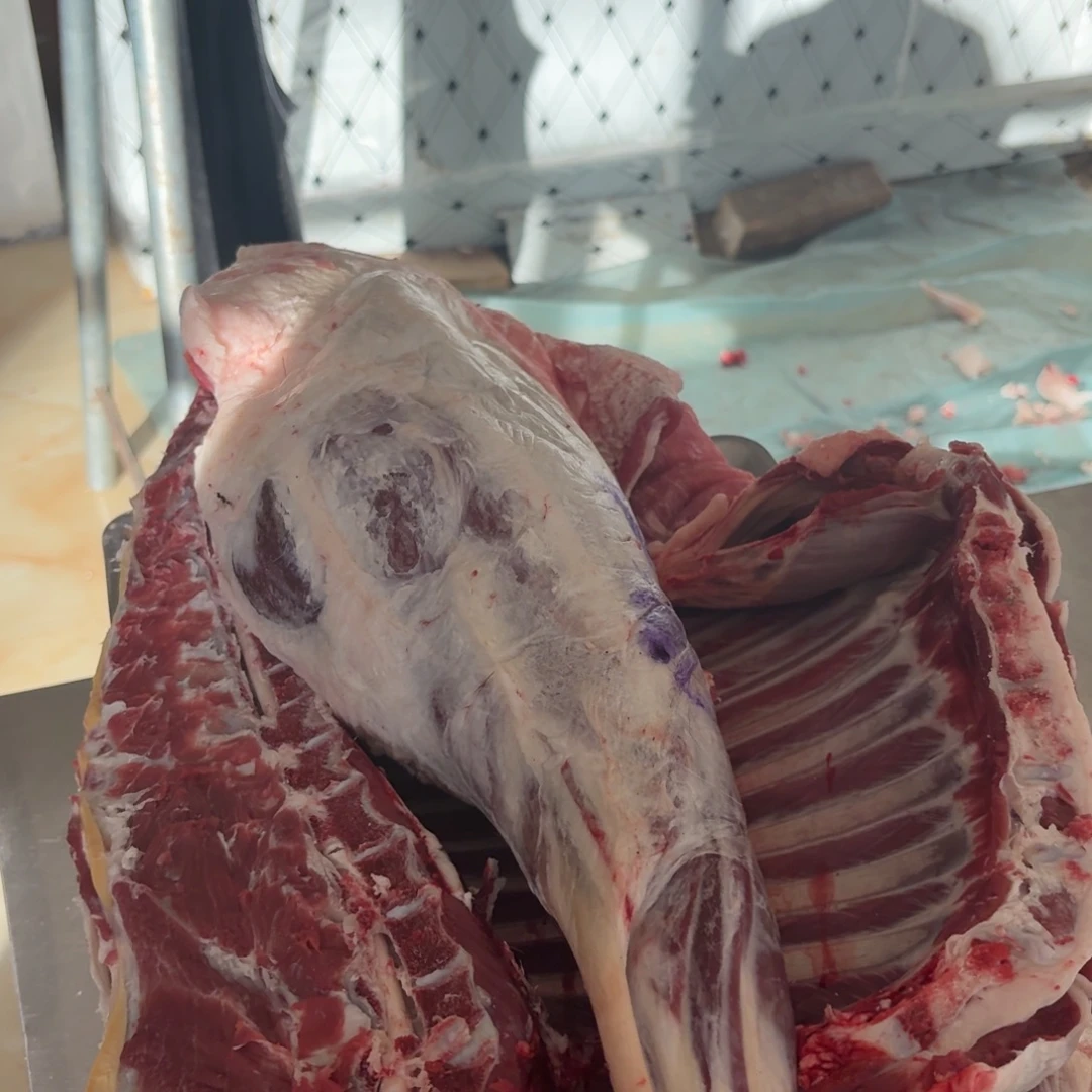 1236中国大陆散装