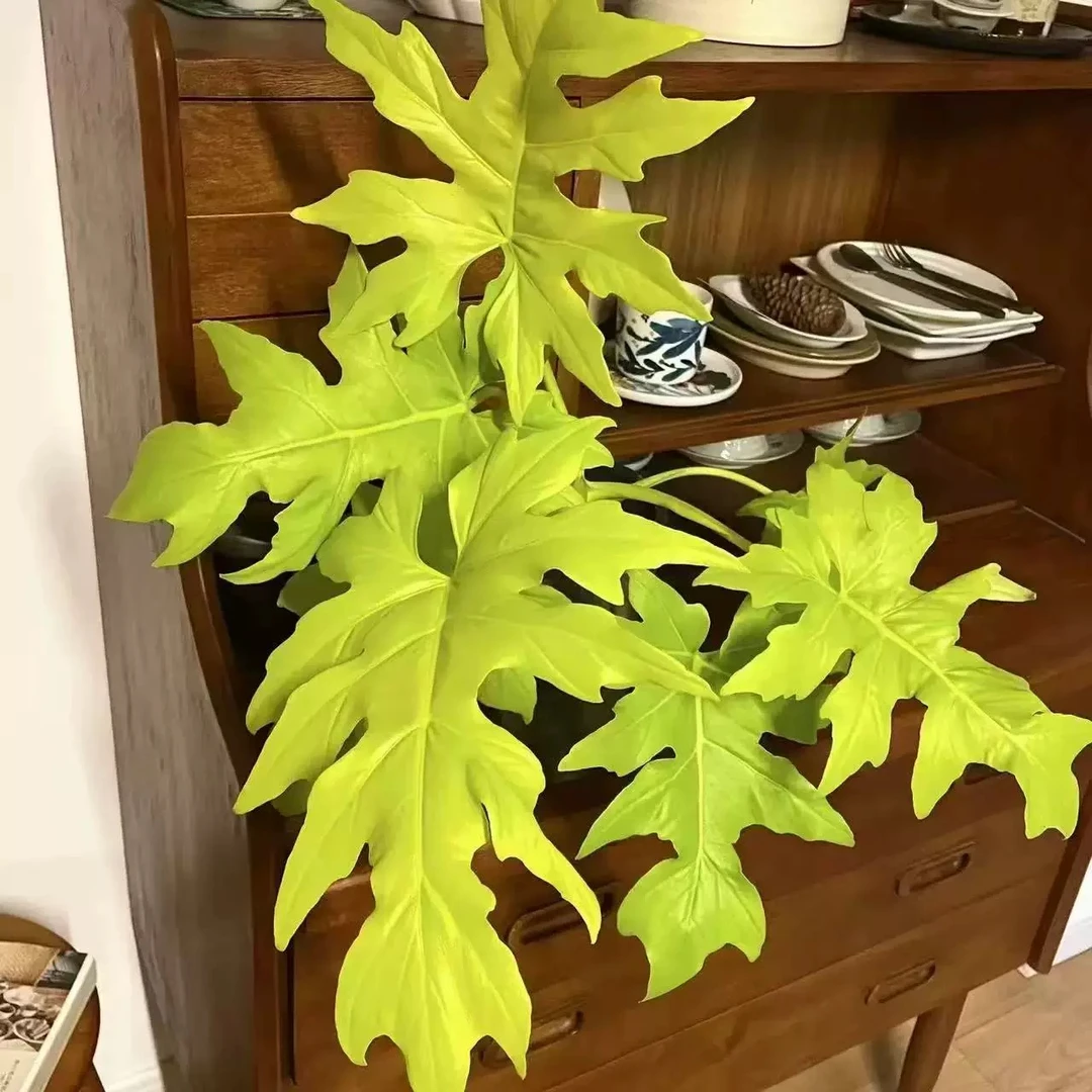 黄金春羽盆栽网红绿植好养耐阴室内客厅办公室吸甲醛四季常青