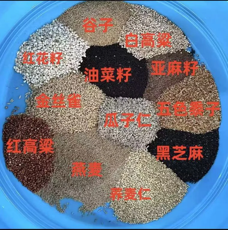 鸽子专用小袋散装粮（5斤装）