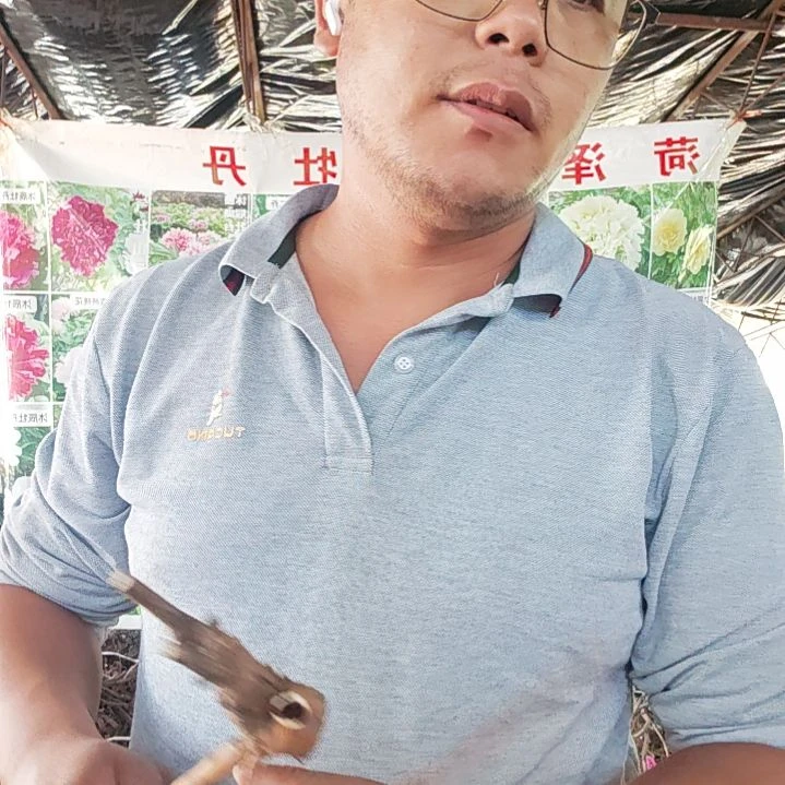当前无花栽培后可以开花伊藤.......