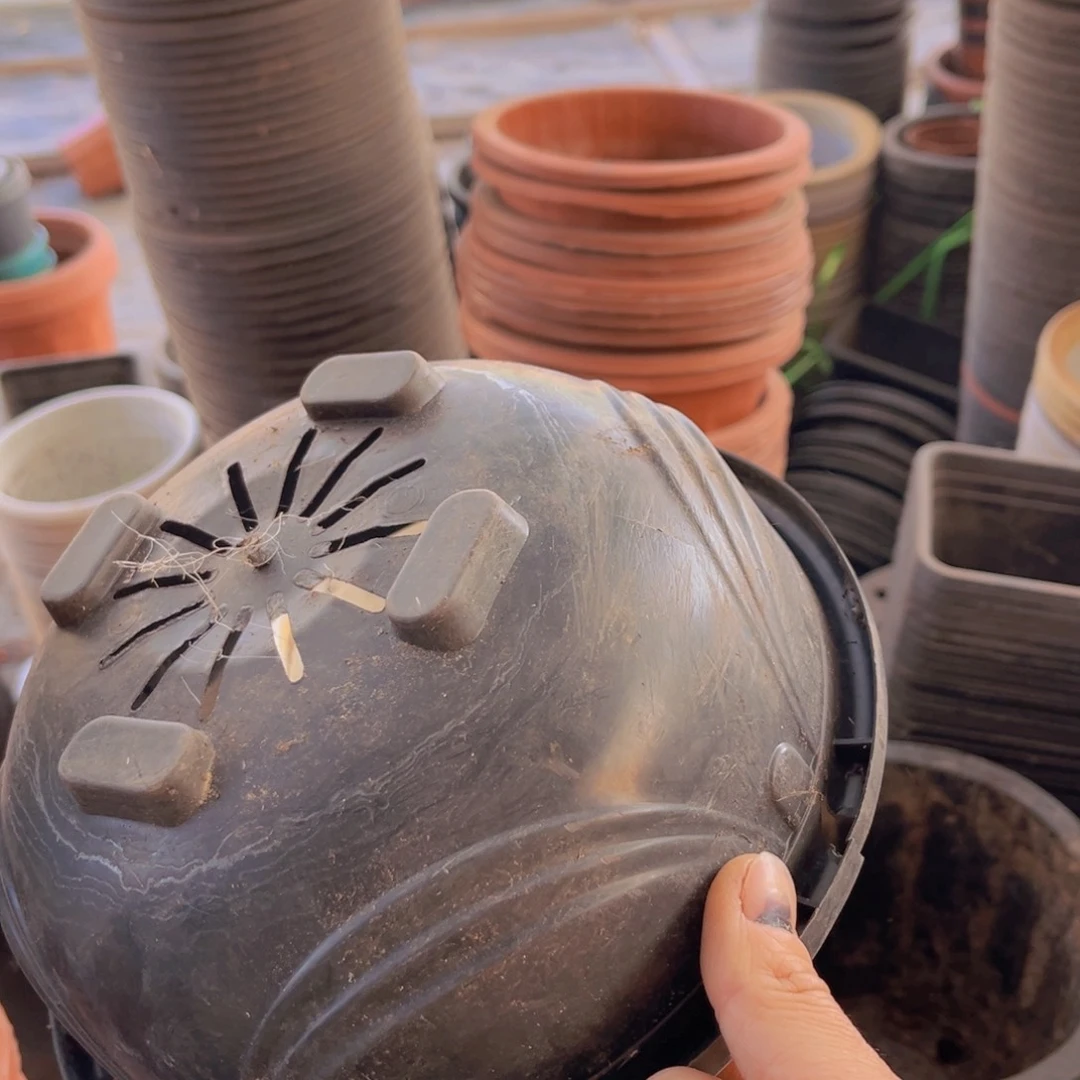 塑料旧21公分高10公分黑点吊兰盆 15个