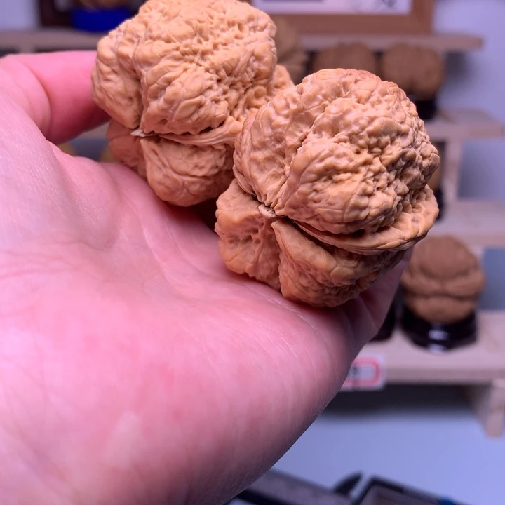 把件文玩核桃24蝴蝶蟾42尺