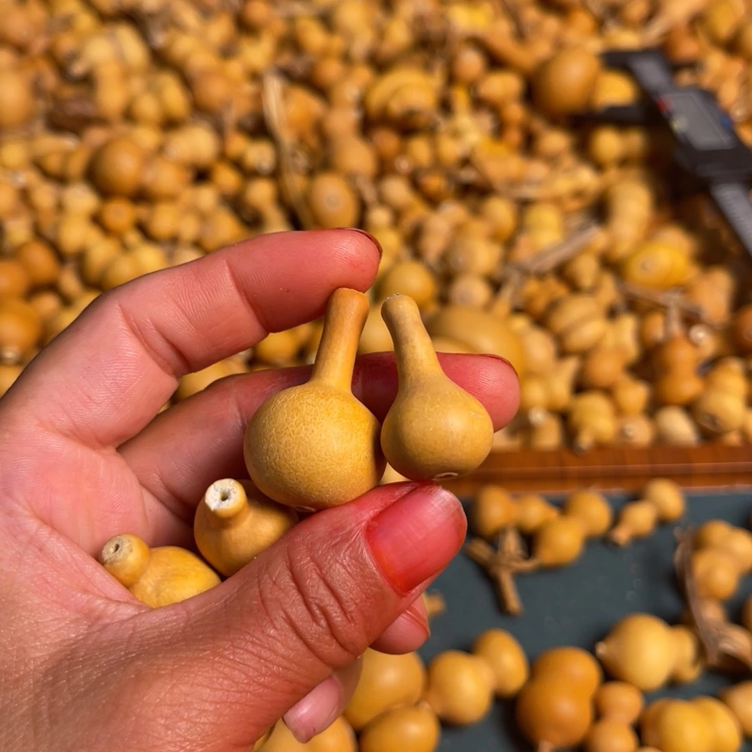 T****e葫芦娃的时候葫葫芦